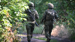 Российские силы освободили Бойковку и Бельгийку в ДНР