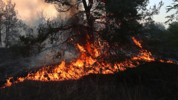 Жара и ветер: десять гектаров горят в Ростовской области