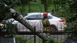 Штормовой ветер и ливни пришли на смену затяжной жаре в Петербурге