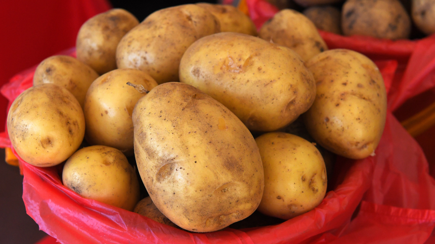 Идеальный момент: агроном рассказал, когда начать подкапывать молодую картошку