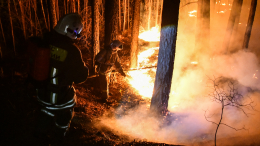 Более 900 гектаров тайги горят в Тыве