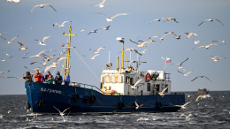 В МИД РФ вручили ноту протеста временному поверенному Норвегии