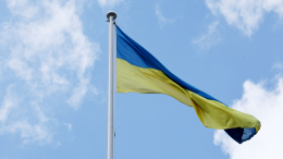 «Терпение на исходе»: почему Запад хочет выгнать Зеленского из офиса президента