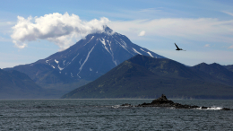 На побережье Авачинского залива на Камчатке объявили угрозу цунами