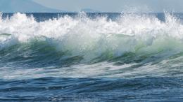 На Камчатке зафиксировали волну цунами высотой до четырех метров