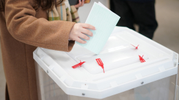 За выборами глав регионов будет наблюдать столичная Общественная палата