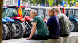 Тяжелые времена или система? Как власти Молдавии загубили сельское хозяйство страны