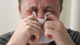 Облако аллергенов: концентрация пыльцы полыни в Москве достигла критического уровня