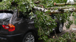 Штормовой ветер и ливень: ураган накрыл Петербург за считанные минуты