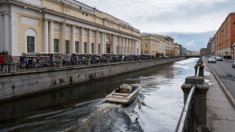 Пятый день в ловушке: в Петербурге пытаются спасти кота на набережной Фонтанки