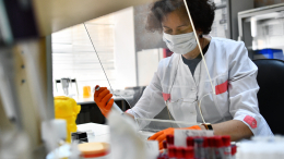 Игнорировать симптомы нельзя: чем опасна болезнь Лайма