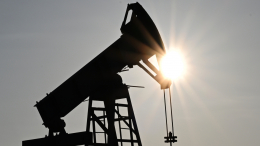 В СФ заявили о невозможности заменить российскую нефть на мировом рынке