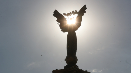 Дно пробито: в Верховной Раде обсуждают военную подготовку в детских садах