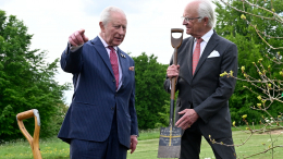 Операция «Менайский мост»: король Карл III готовится к своей смерти