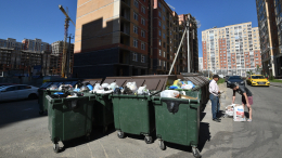 Мусор во дворе: как обязать УК поддерживать чистоту в доме и на придомовой территории