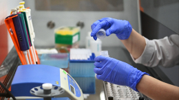 Роспотребнадзор взял на контроль вспышку лихорадки чикунгунья в Китае