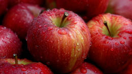 Праздник Преображения или Яблочный Спас: смысл, традиции и правила 19 августа