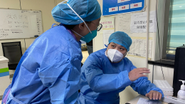 Флэшбеки пятилетней давности: грозит ли РФ новый локдаун из-за вируса Чикунгунья