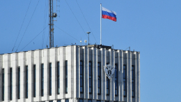 Минюст внес в список иноагентов финансиста Мовчана* и актрису Мыскину*