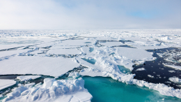 Московские школьники и студенты колледжей отправились в Большую арктическую экспедицию