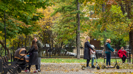 Сергей Собянин рассказал, как в Москве выбирают деревья для озеленения города