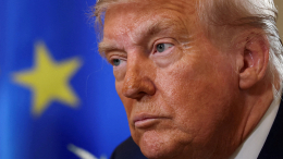 Страны ЕС планируют провести переговоры с Трампом до его встречи с Путиным