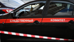 Мать убила детей и себя — психиатр назвал причину трагедии на Урале