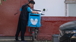 Иностранцам запретили работать курьерами в Санкт-Петербурге