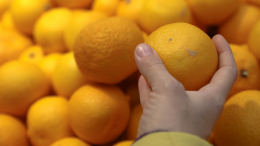 Кто виноват и что делать: попытка наказать подростков за воровство может закончиться тюрьмой для бизнесмена в Чувашии