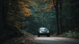 Атака мошкары и пыли: как защитить радиатор автомобиля от дорожного мусора