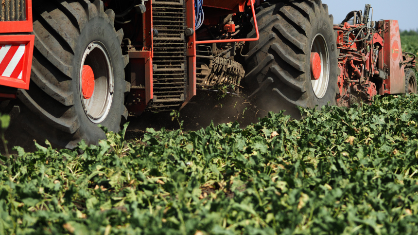 молдавский коровник прозябает, аграрии вымирают