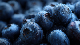 Не только глаза: чем полезна черника и когда ее нужно собирать