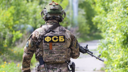 Опубликованы компрометирующие записи переговоров с разрабатывавших ОТРК «Сапсан» предприятий
