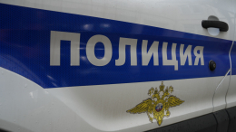 Полиция Петербурга проводит проверку по факту нападения подростков на двойника Ленина