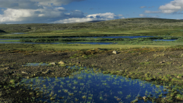 Дитя тундры: медики преодолели 155 километров, чтобы помочь роженице на Ямале