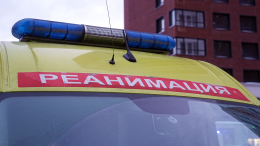 В парке Саратовской области скульптура Кота Ученого насмерть придавила девочку