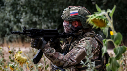 Пушилин сообщил об активном продвижении ВС РФ на всех направлениях в ДНР