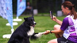 Подопечных 13 городских приютов для животных собрали на фестивале «Моспитомец»