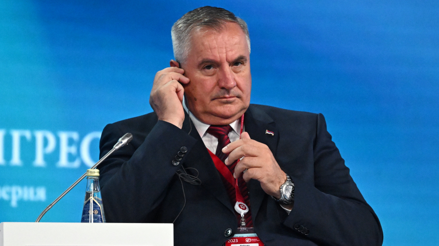 Премьер-министр Республики Сербской Вишкович подал в отставку