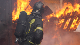 Горят села и нечем дышать: крупный лесной пожар бушует в ЛНР