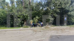 В Новосибирске дерево упало на остановку — есть пострадавшие