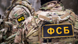 Самоубийственная авантюра: как сорвали диверсию ВСУ в Брянской области