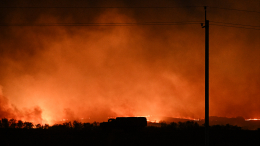 Заповедный лес горит на окраине Махачкалы