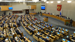 «Не надейтесь»: в ГД предложили не брать релокантов на работу в госструктурах