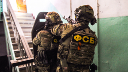 В ДНР задержали двух причастных к покушениям на чиновников РФ агентов Украины