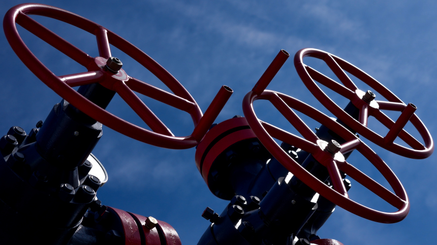 Восстановление поставок нефти из РФ в Венгрию займет пять дней