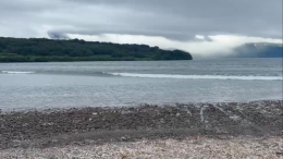 Два землетрясения магнитудой более 5,0 произошли у восточного побережья Камчатки