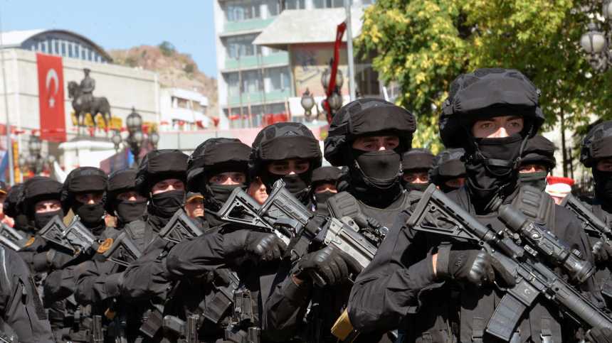 Турция рассматривает возможность отправить войска на Украину