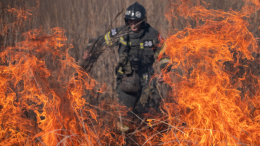 В Крыму ликвидирован пожар на площади 250 гектаров