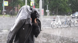 Из лета в зиму: в Петербурге выпал снег